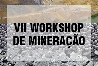 VII Workshop de Mineración