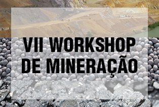VII Workshop de Mineração