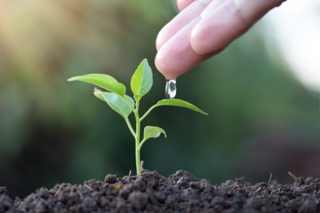 Setor de agronegócio mantém otimismo e investimentos