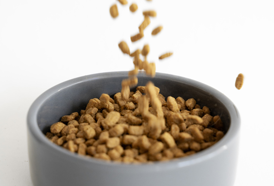 Os misturadores horizontais Eirich para a Indústria de Pet Food